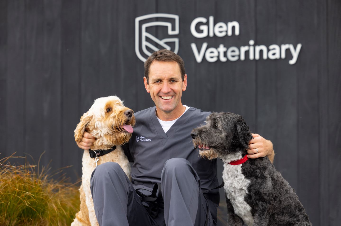 Responding to the direct needs of business: XLVets Skillnet & Glen Veterinary Case Study