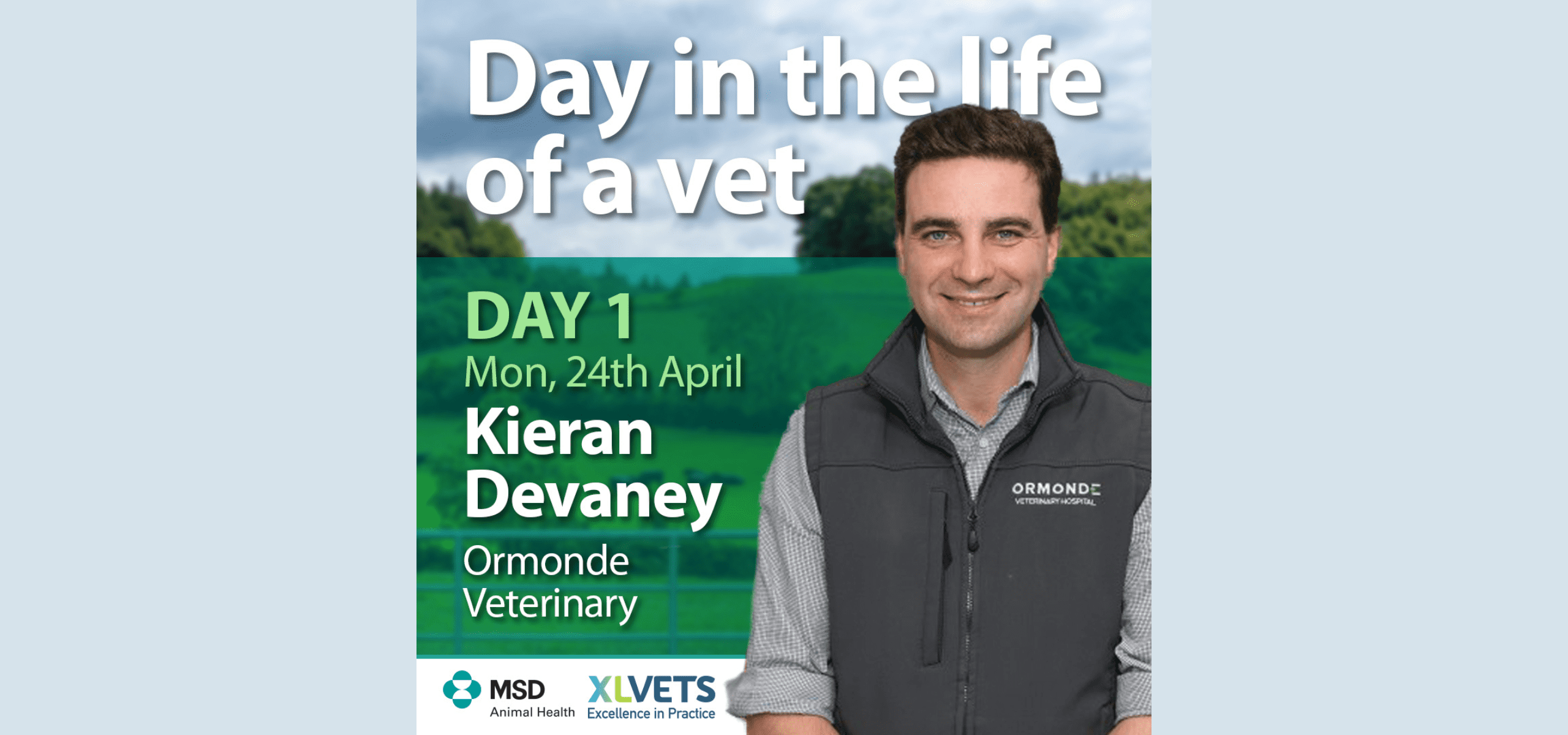 Day in the life: Synchronising heifers with vet Kieran Devaney, Ormonde Veterinary Clinic