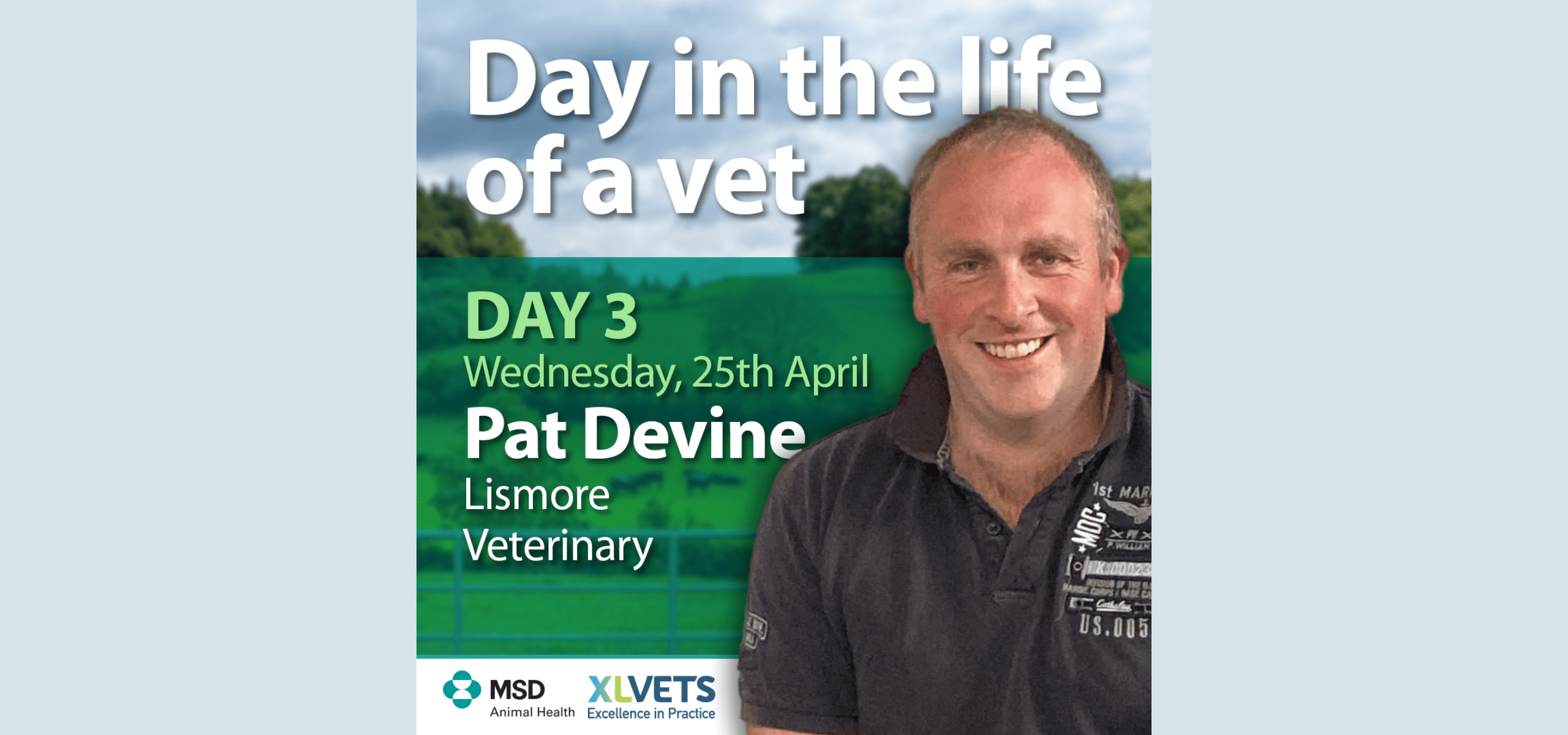 Day in the life: Pre-breeding preparation with vet, Pat Devine, Lismore Veterinary